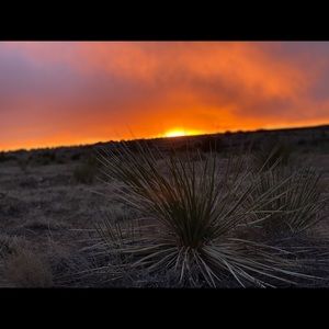 Meet your Posher, Karli